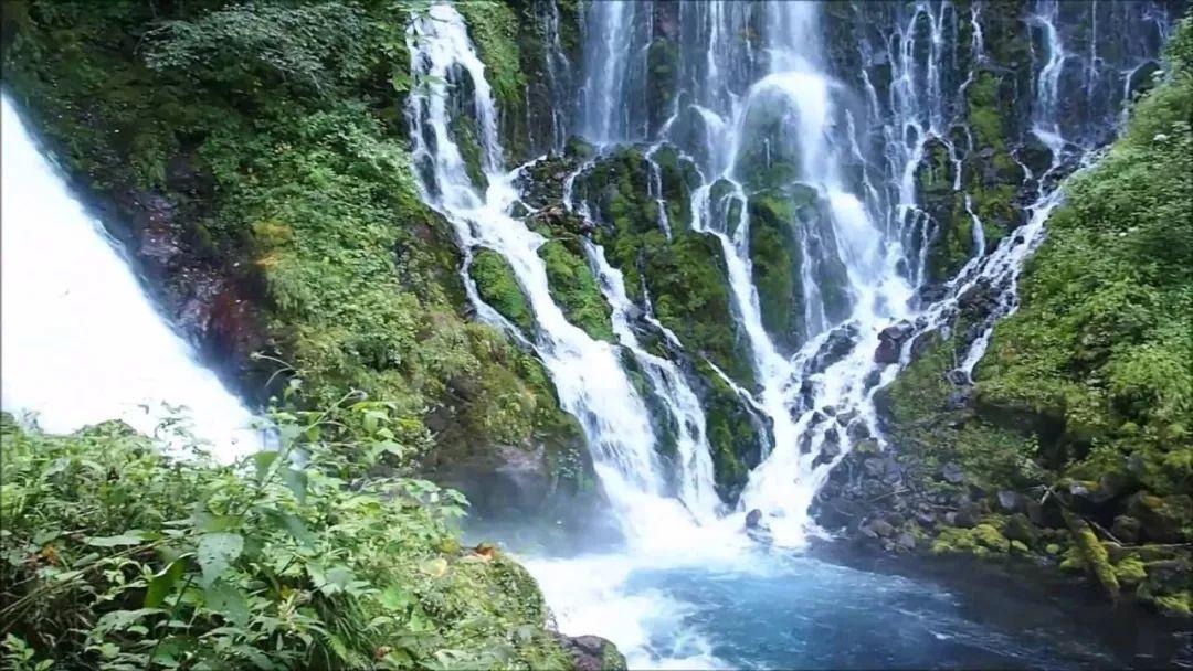 大雨林逃生